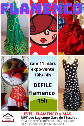 Copie de affiche defile flamenco 11 03 23